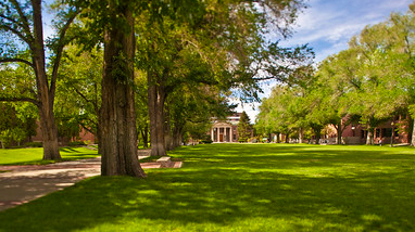 The quad at the University of Nevada, Reno, a large grass area lined with massive trees and the Mackay School of Mines visible at the end of the quad.